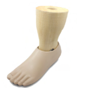 Single Axis Foot with Shaped Ankle Part