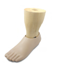 Single Axis Foot with Shaped Ankle Part