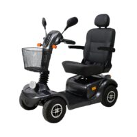 Deiser Scooter