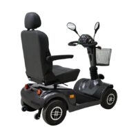 Deiser Scooter