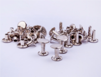 Double Hollow Rivet