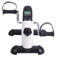 Maxi LCD Screen Exercise Bike