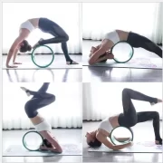 Maxi Yoga Wheel