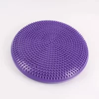 Maxi Spiky Balance Cushion Purple